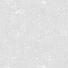 Обои для стен Victoria Stenova 281357